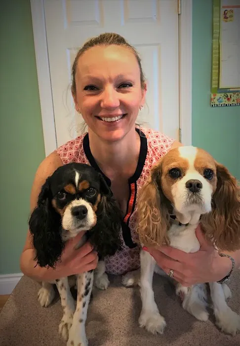 Kennebunk Veterinary Hospital Picture 9