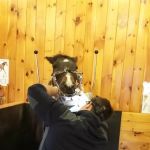 TNT Equine