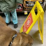 VIP Petcare Vaccination Clinic