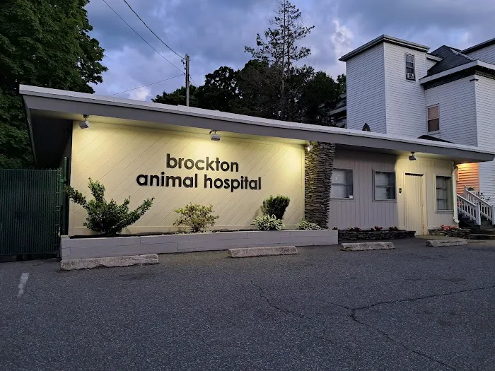 Brockton Animal Hospital Picture 1