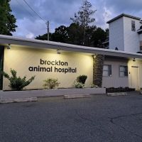 Brockton Animal Hospital ico