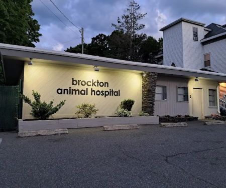 Brockton Animal Hospital