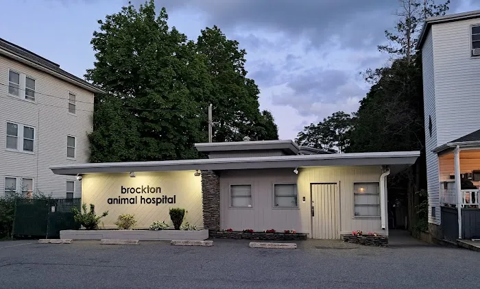 Brockton Animal Hospital Picture 3
