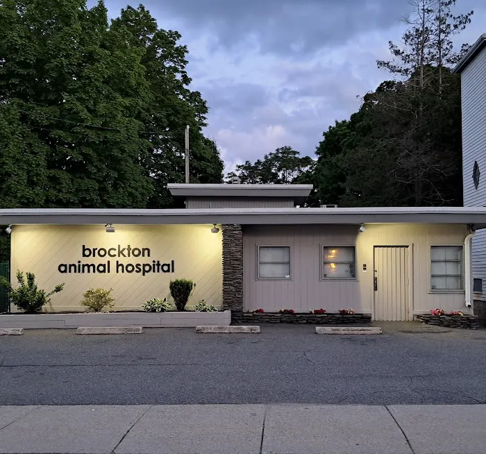 Brockton Animal Hospital Picture 4