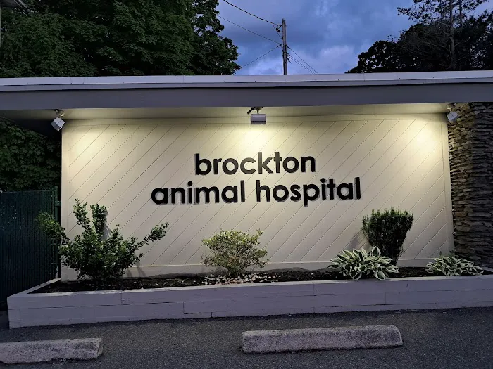 Brockton Animal Hospital Picture 5