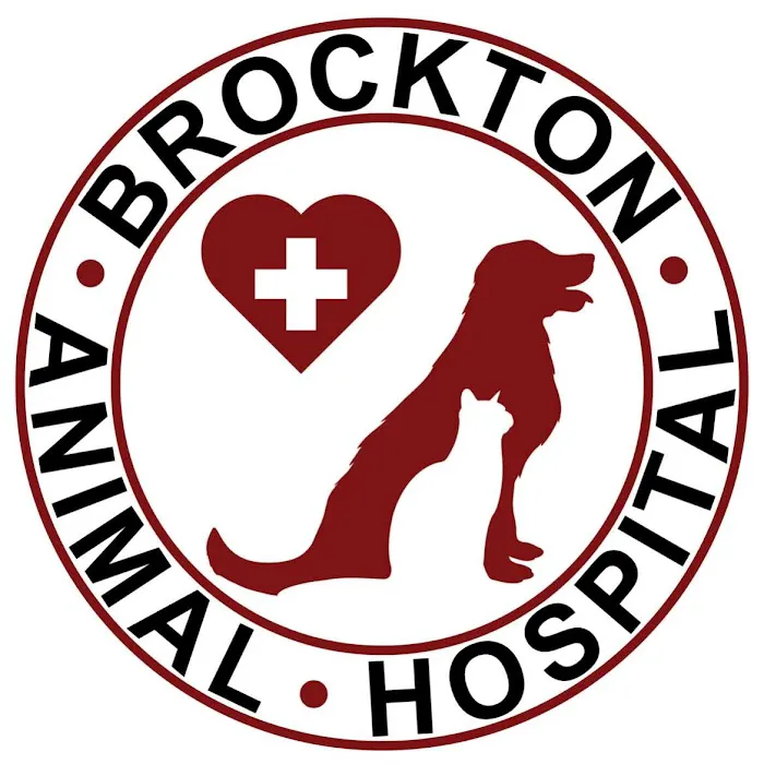 Brockton Animal Hospital Picture 10