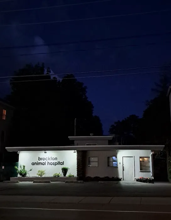 Brockton Animal Hospital Picture 7