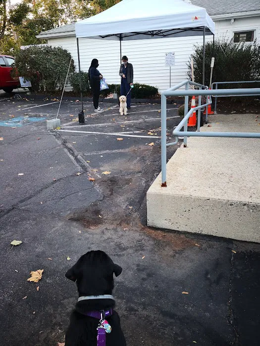 VCA North Main Street Veterinary Clinic Picture 3