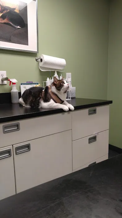 Jamaica Plain Animal Clinic Picture 1
