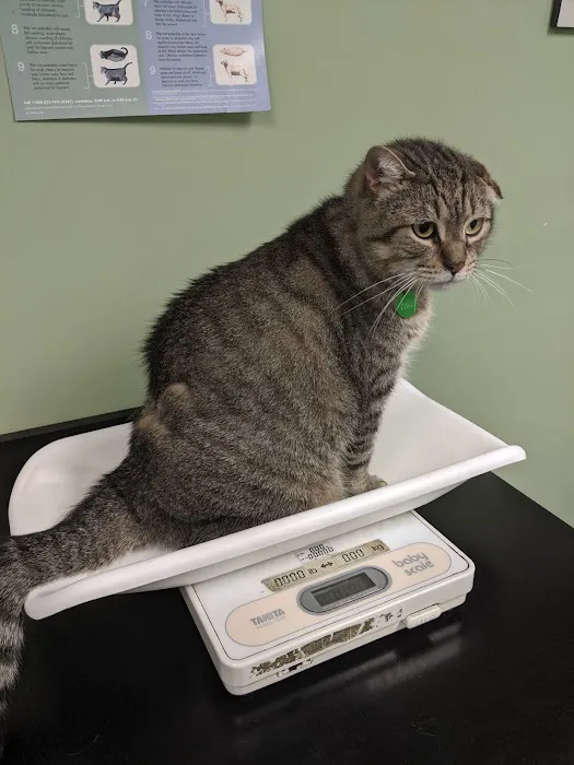 Jamaica Plain Animal Clinic Picture 4