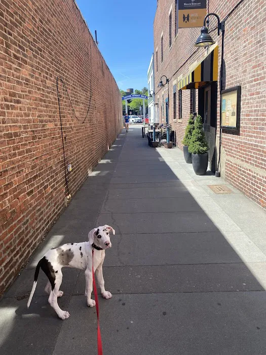 Boston Veterinary Clinic Picture 1