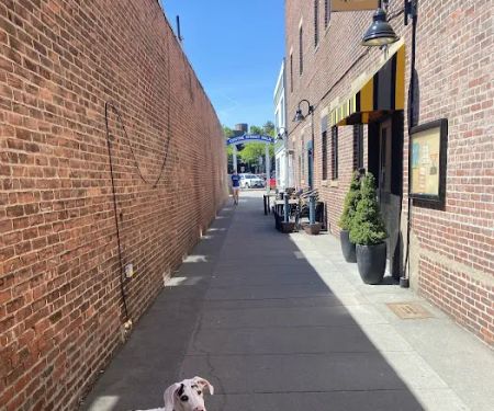 Boston Veterinary Clinic