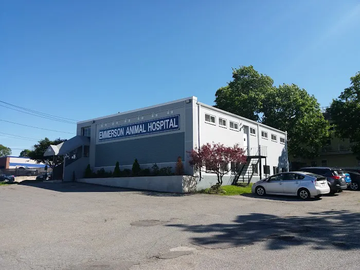 Emmerson Animal Hospital Picture 8