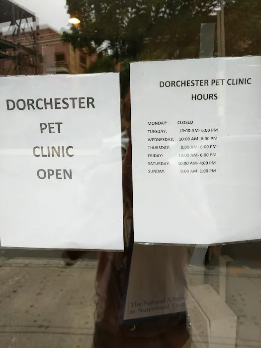 Dorchester Pet Clinic Picture 1
