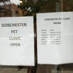 Dorchester Pet Clinic