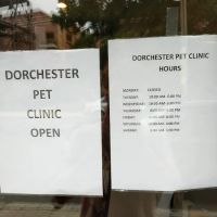 Dorchester Pet Clinic ico