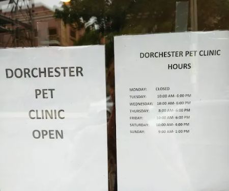 Dorchester Pet Clinic