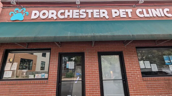 Dorchester Pet Clinic Picture 2