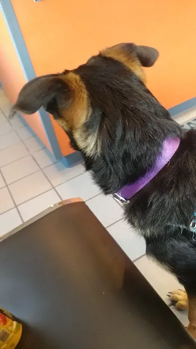 Holbrook Animal Hospital Picture 1