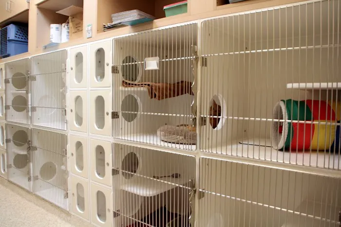 VCA South Shore Weymouth Animal Hospital Picture 2