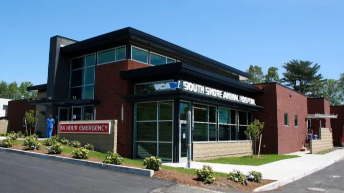 VCA South Shore Weymouth Animal Hospital Picture 4