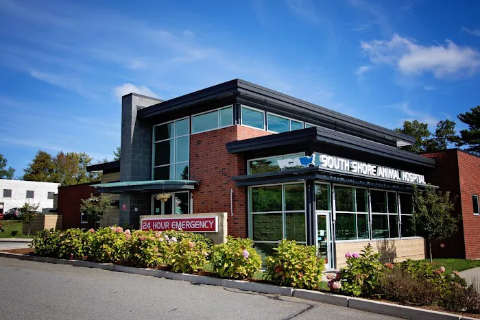VCA South Shore Weymouth Animal Hospital Picture 6