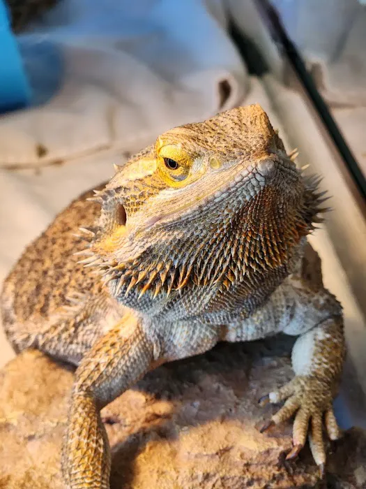 New England Wildlife Center Picture 1