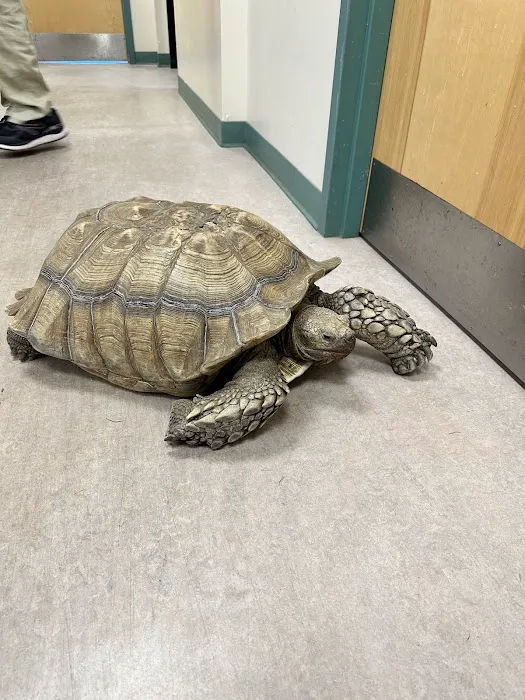 New England Wildlife Center Picture 4