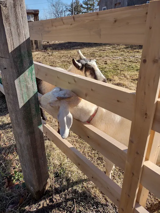 New England Wildlife Center Picture 6