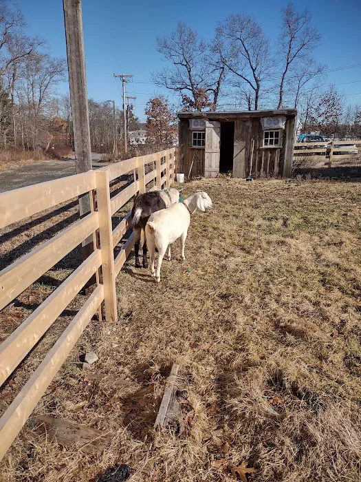 New England Wildlife Center Picture 7