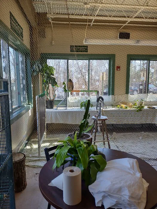 New England Wildlife Center Picture 8