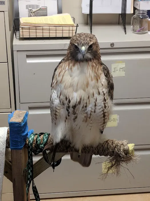 Odd Pet Vet Picture 10