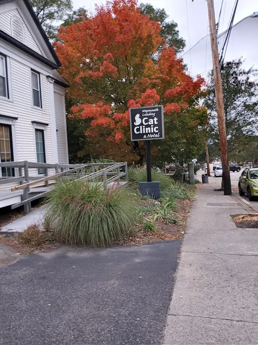 Weymouth Landing Cat Clinic & Hotel Picture 5