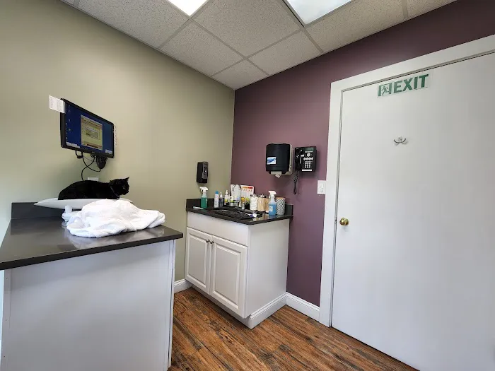 Weymouth Landing Cat Clinic & Hotel Picture 9