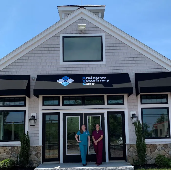 Braintree Veterinary Care Picture 3