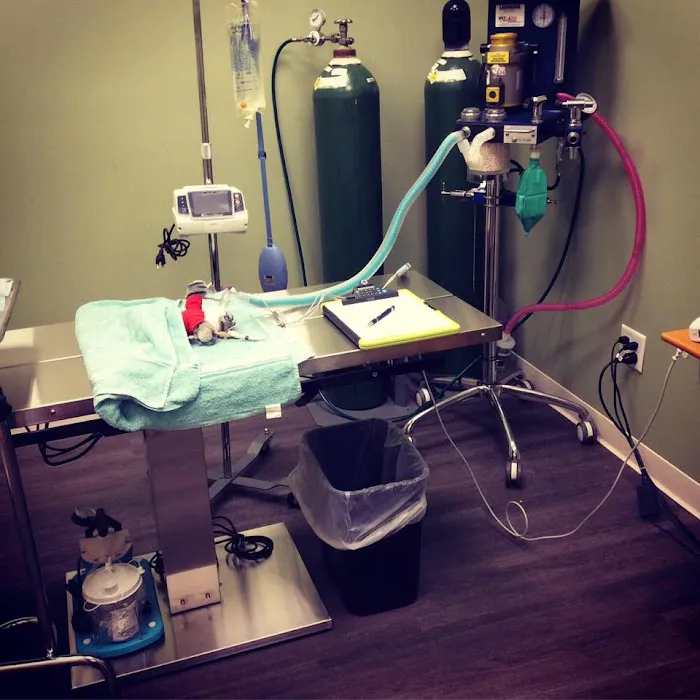 Braintree Veterinary Care Picture 9