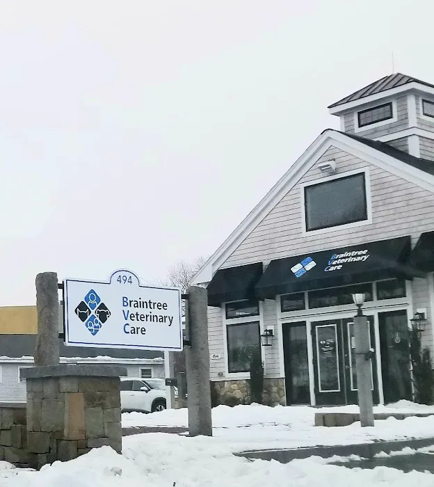 Braintree Veterinary Care Picture 8