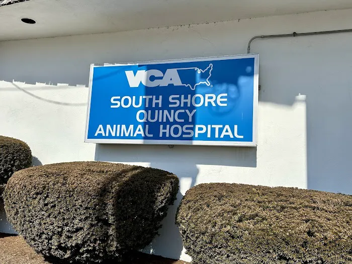 VCA South Shore Quincy Animal Hospital Picture 3