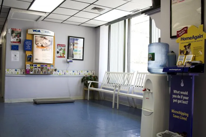 VCA South Shore Quincy Animal Hospital Picture 6