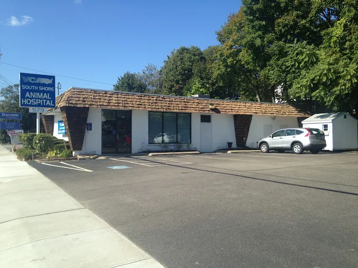 VCA South Shore Quincy Animal Hospital Picture 10