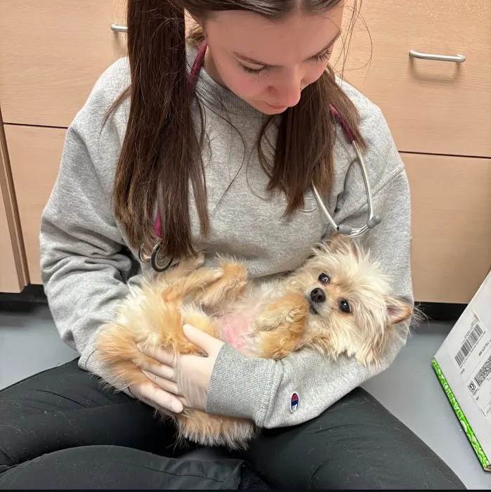 Ally Veterinary Specialty Center Picture 4