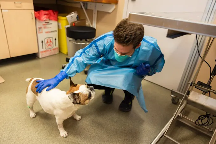 Ally Veterinary Specialty Center Picture 6