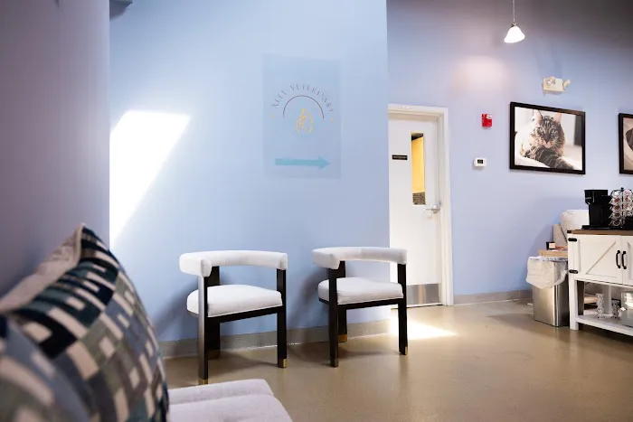 Ally Veterinary Specialty Center Picture 5