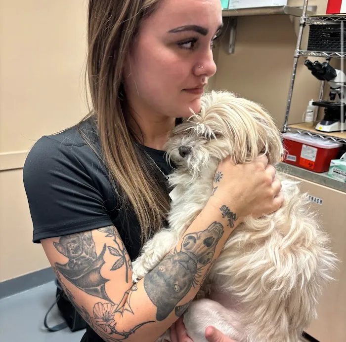 Ally Veterinary Specialty Center Picture 9