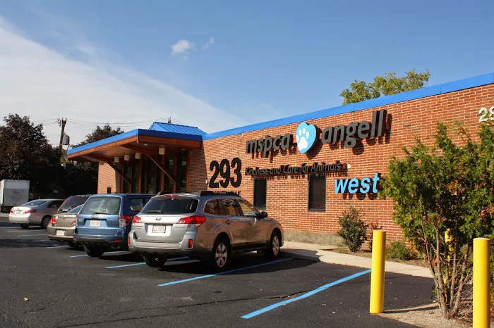 MSPCA-Angell West Picture 1