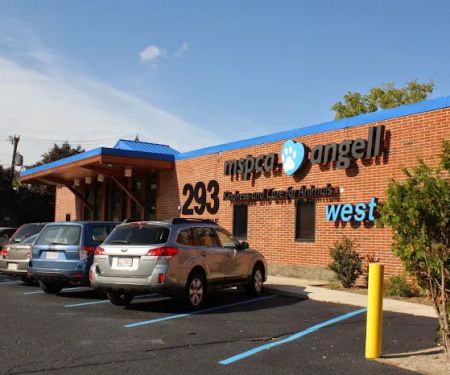 MSPCA-Angell West