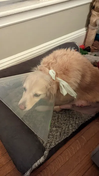 Kindness Animal Hospital Picture 3