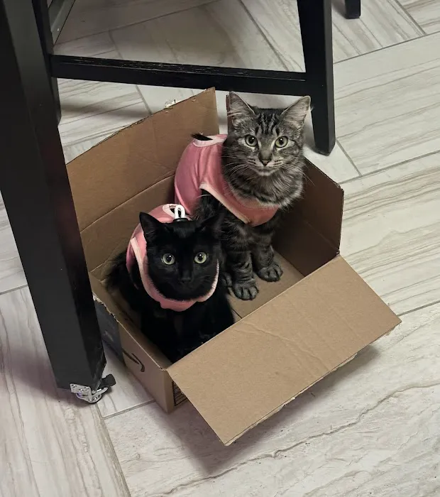Kindness Animal Hospital Picture 10
