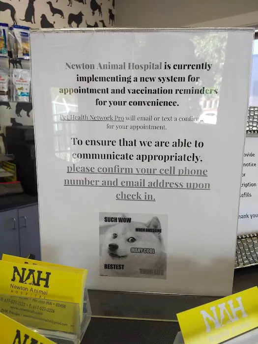 Newton Animal Hospital, A Thrive Pet Healthcare Partner Picture 10