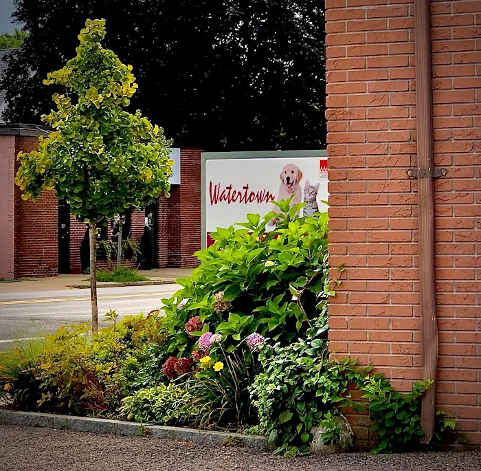 Watertown Animal Hospital Picture 1